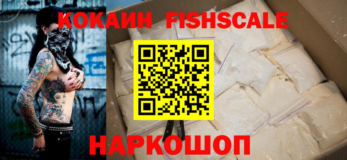 Славгород  Cocaine  Вход с VPN  COCAIN Fish Scale  Cocaine Колумбийский 