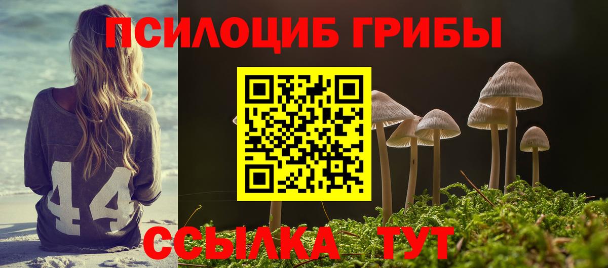 Славгород  Псилоцибиновые грибы Psilocybine cubensis  Вход с VPN 